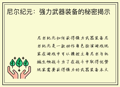 尼尔纪元：强力武器装备的秘密揭示
